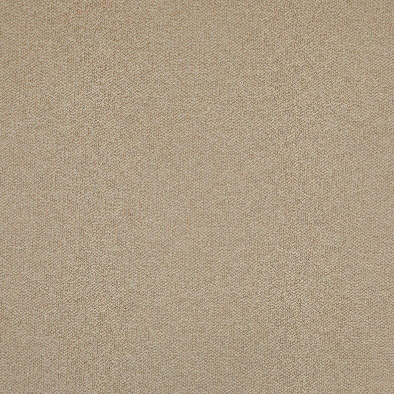 New Zealand Sand