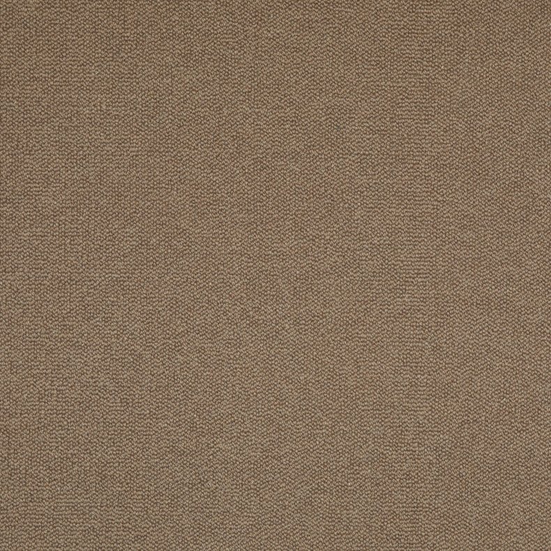 New Zealand lys fawn 5m.