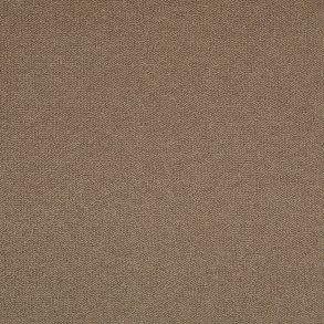 New Zealand lys fawn 4m.