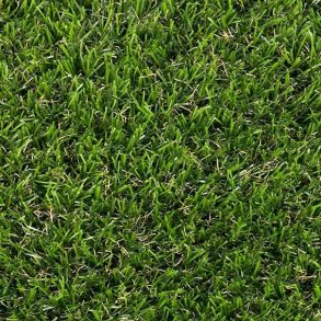 V4320 - Castor - Grs med drn